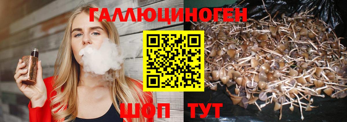 Псилоцибиновые грибы ЛСД Калач-на-Дону